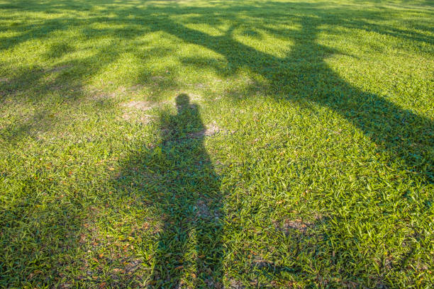 Public park, grass area in nature at sunset.Istanbul - Turkey.