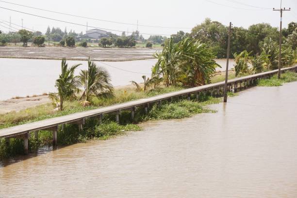 istock Khlong Preng canal in country Chachoengsao Thailand 1124943621