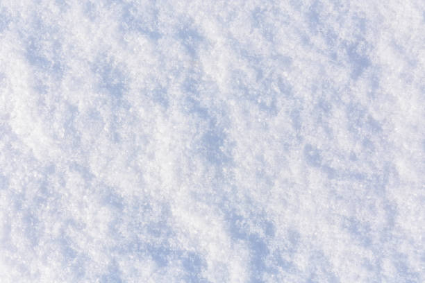 istock Texture of the white fluffy snow for background 1124944198