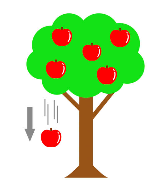 Law Of Universal Gravitation Stock Illustration - Download Image Now -  Apple - Fruit, Falling, Gravitational Field - iStock