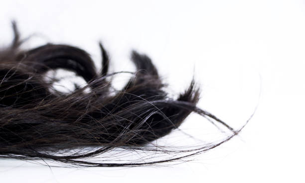 istock piece of black hair on white isolated background 1124946165