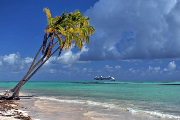 istock Beach with palm trees on the white sand. 1124950286
