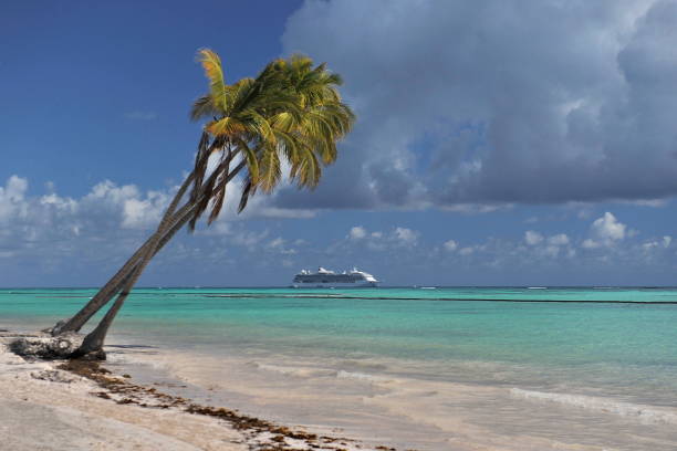 istock Beach with palm trees on the white sand. 1124950291