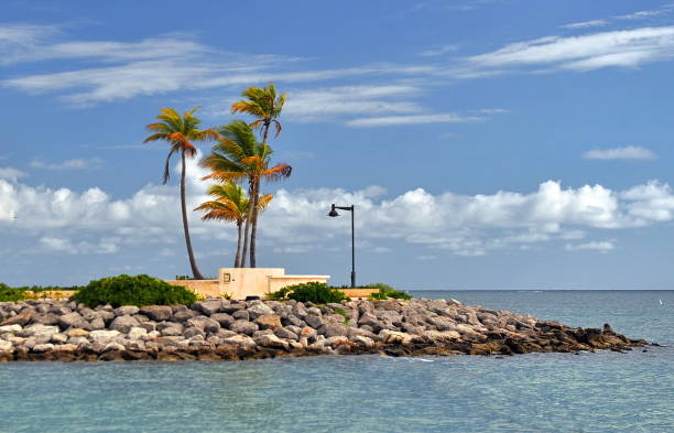 istock Beach with palm trees on the white sand. 1124950404