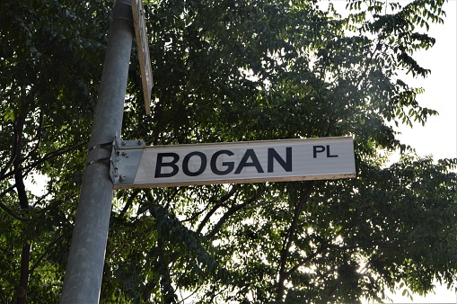 A street sign showing the name 'Bogan Place' with a tree in the background. The word 'bogan' is a slang word in Australia and New Zealand for a low-class, tasteless person who tends to wear singlets, drive a ute and behave poorly. This sign is quite funny. The street is found in Canberra, Australia.