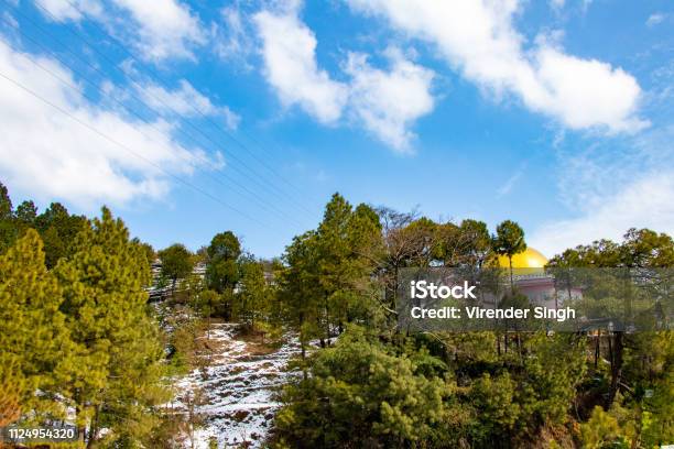 Schneefall Im Landwirtschaftlichen Bereich Des Hügel Mit Bäumen Über Blauen Himmel Und Weiße Wolken Stockfoto und mehr Bilder von Agrarbetrieb
