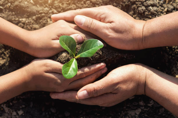 istock two hand helping planting young tree for save world 1124959987