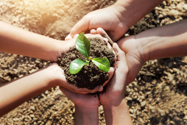 istock two hand helping planting young tree for save world 1124959994