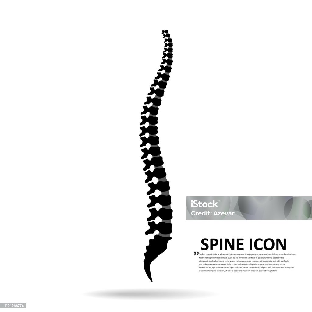 Vector human spine icon isolated silhouette illustration. Spine - Body Part stock vector