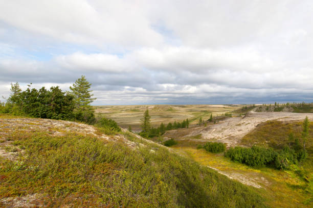 istock Beautiful landscape of forest-tundra, Big panoramic 1124968202