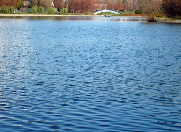 istock autumn in city park 1124982996