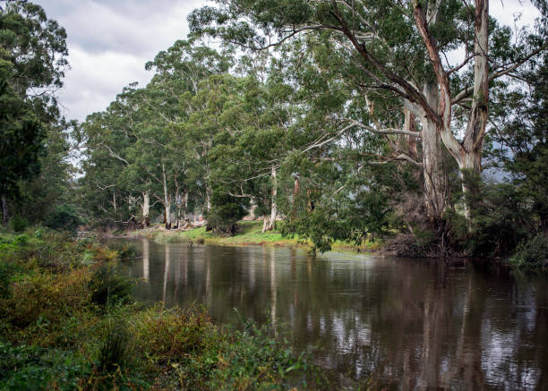 istock Yarra River in the Yarra Valley 1124986218
