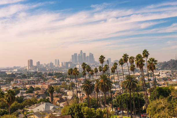 istock Los Angeles skyline at sunset with palm trees in the foreground 1124987016