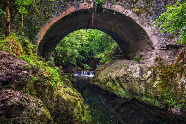 Stone bridge over the the Shimna River in the Tollymore Forest Park located at Bryansford, near the town of Newcastle, Northern Ireland.