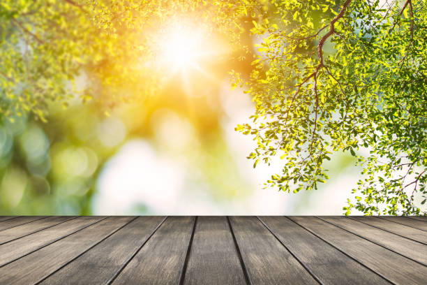 istock wood table on bokey  green nature background 1124989382
