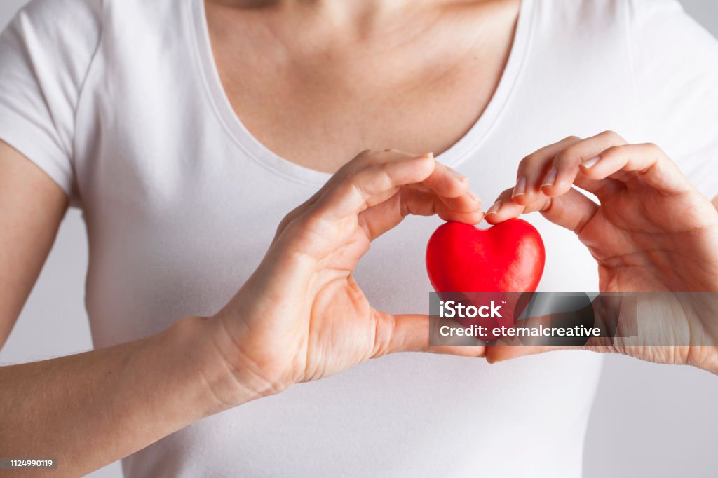 Young woman holding red heart, health insurance, donation, love concept Female hands holding red heart, Love concept for valentines day with sweet and romantic moment Heart Shape Stock Photo