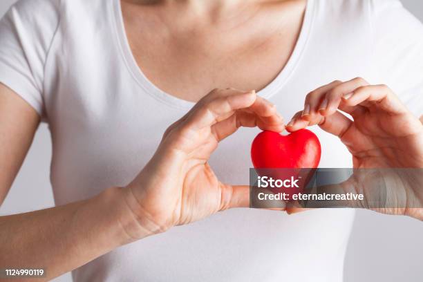 Young Woman Holding Red Heart Health Insurance Donation Love Concept Stock Photo - Download Image Now