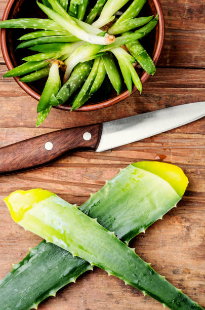 istock Fresh aloe vera leaves 1124991031