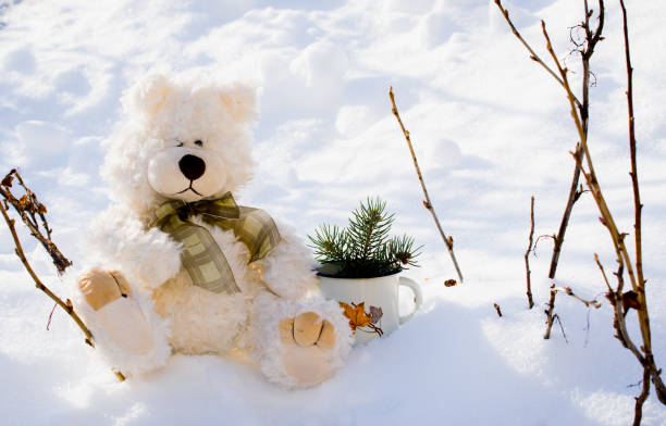 couple of cute fluffy teddy bears on the background of a snowy winter garden. Romantic winter card for Valentine's Day