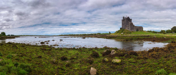 dunguaire castle dans le comté de galway, près de kinvarra, irlande - kinvara photos et images de collection