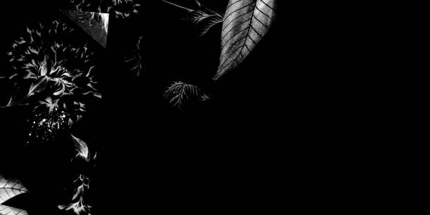 istock Card template with floral leaf effect black and white halftone illustration art abstract background 1125007259