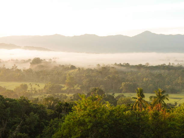 istock The Hill Line Sumatra, Indonesia 1125012880