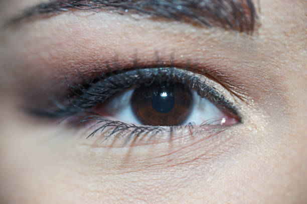 istock Close-Up Analyzing Brown Woman Eye With Beautiful Makeup Looking At Camera 1125017682