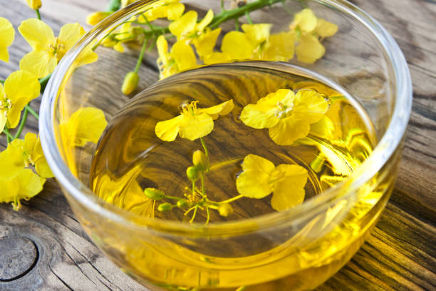 Rapeseed oil and glass bowl with blossoms Rapeseed oil and glass bowl with blossoms against a wooden background brassica rapa stock pictures, royalty-free photos & images