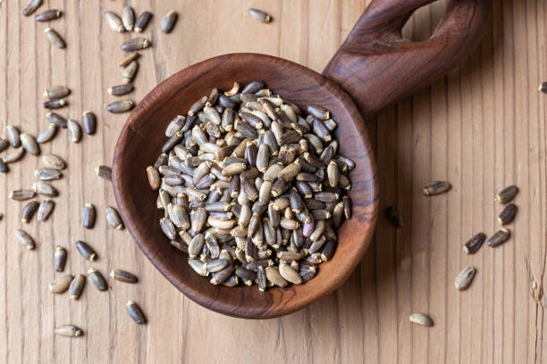 istock Milk thistle seeds on a wooden spoon 1125019878