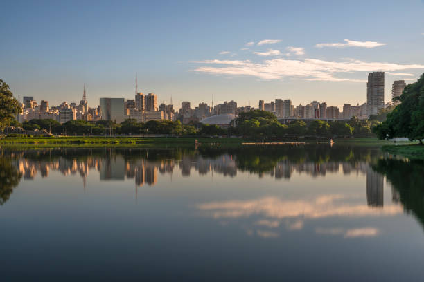 Panoramic view of São Paulo skyline reflected in lake at dawn stock photo