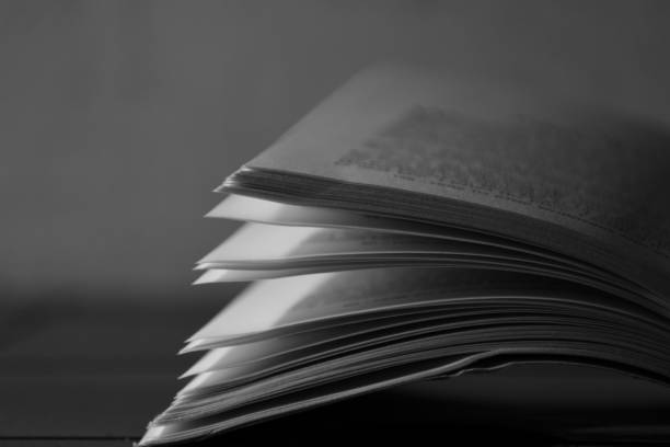 istock Pages of an old book, close up view 1125024539