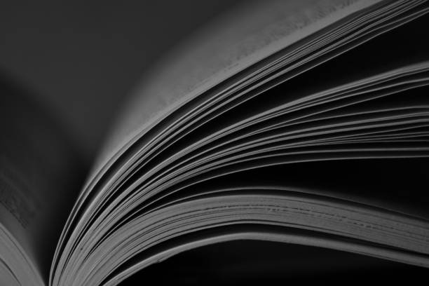 istock Pages of an old book, close up view 1125024905