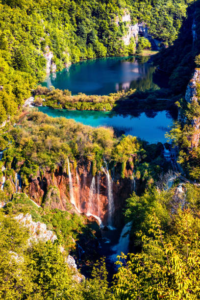 vertical vista panorâmica do parque nacional de plitvice. cena de primavera colorida de verde floresta com lagos de água pura e cachoeiras. paisagem de campo grande da croácia, europa. beleza do fundo do conceito de natureza. - vertical forest national forest woods - fotografias e filmes do acervo