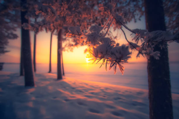 Very cold day sunset scenery from Sotkamo, Finland.