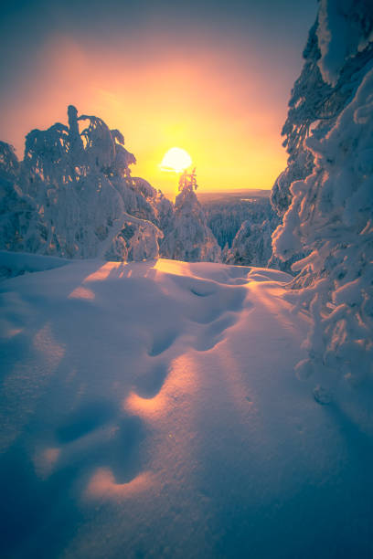 istock Very cold day sunset scenery from Sotkamo, Finland. 1125038946