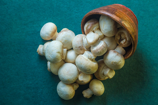 Button Mushroom / Field Mushroom