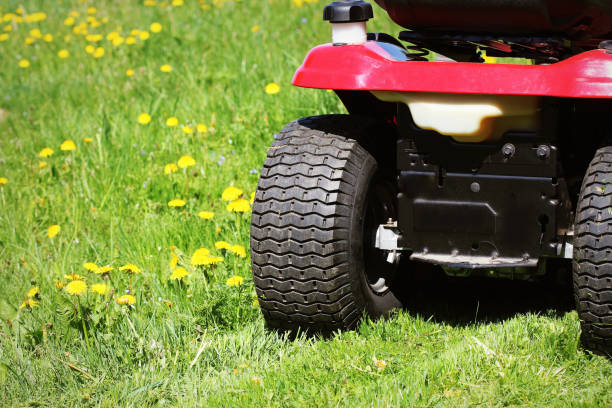 istock cutting the grass of on a tractor lawn mower 1125045520