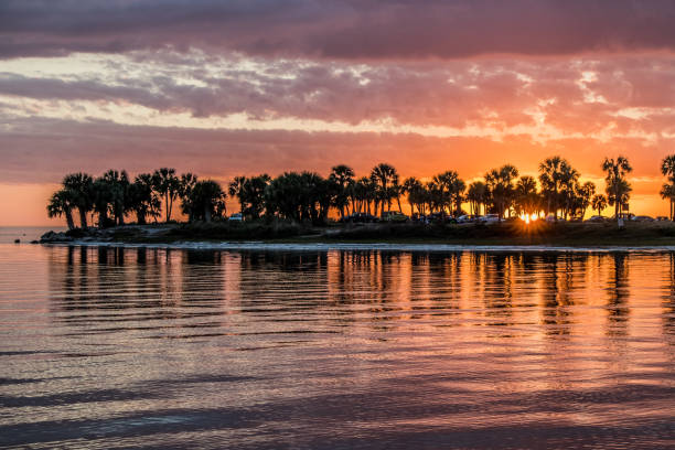 istock Fred Howard Park, Tarpon Springs at Sunset 1125046225