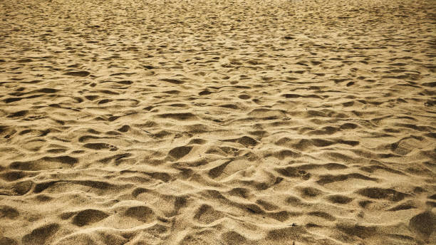 istock Pondicherry Paradise Beach Sand with footsteps 1125046385