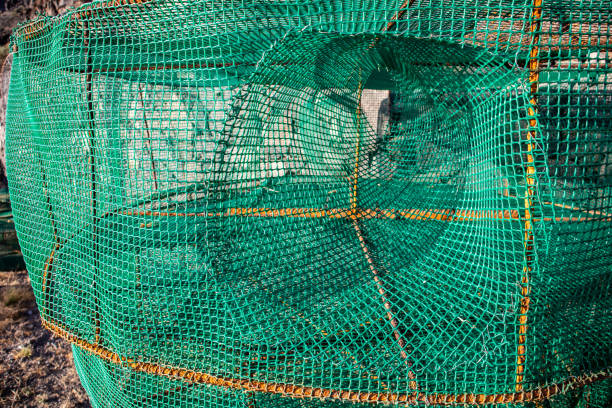 istock Fishing net trap for crabs close up 1125053061