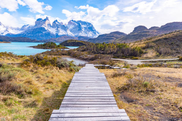 istock Torres del Paine National Park, Chile 1125055769