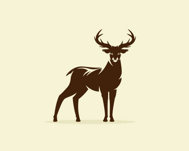 illustrations, cliparts, dessins animés et icônes de icône de chevreuil illustration vecteur, de renne ou de cerf - cerf