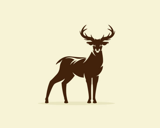 Deer illustration vector, reindeer or stag icon Deer illustration vector, reindeer or stag icon stag stock illustrations