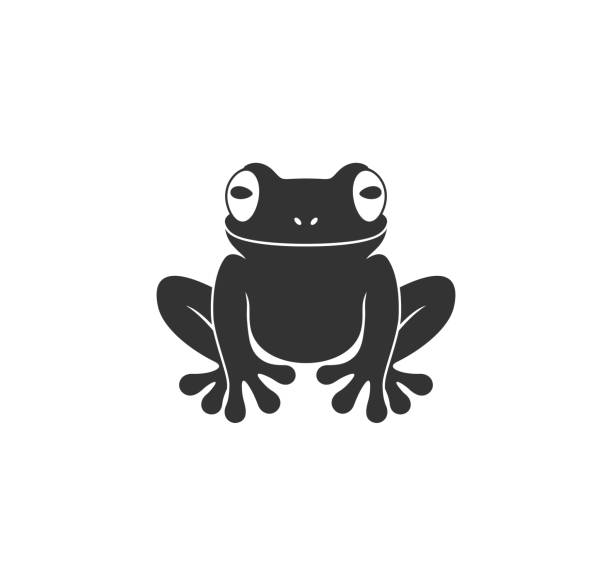 Tree frog. Isolated frog on white background EPS 10. Vector illustration frog stock illustrations