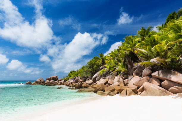 istock Anse Cocos, La Digue, Seychelles 1125069142