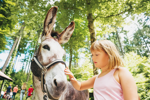 Little girl hiking with donkeys in summer camp for children