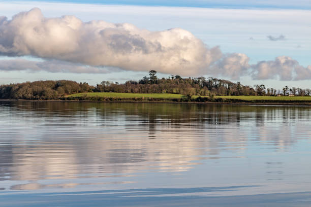 istock Forest , trees reflection and Lake at sunset in Strangford lough 1125075654