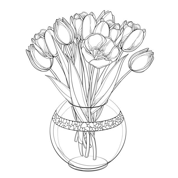 illustrazioni stock, clip art, cartoni animati e icone di tendenza di bouquet vettoriale con fiori di tulipano contorno, bocciolo e foglie ornate in vaso rotondo trasparente in nero isolato su sfondo bianco. - bud flower tulip flowers