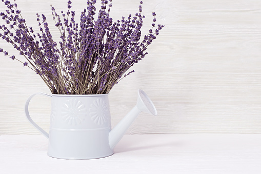 Lavender flowers in watering can, old wooden background, copy space