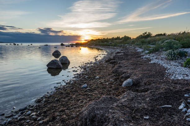 istock Evening sunlight on coast, pink clouds, blue sky reflection on water. Beach in summer. Seaside natural environment. Shore in Harilaid, small island in Estonia. Nature Reserve in North Europe 1125087292